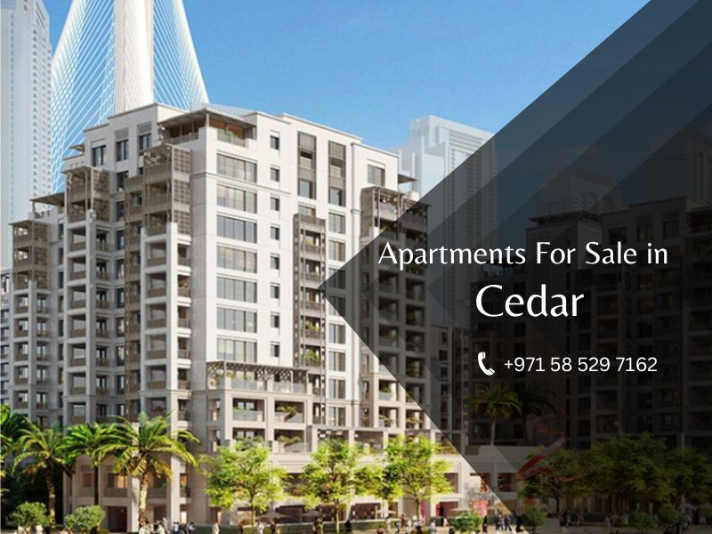 Cedar at Creek Beach by Emaar at Dubai Creek Harbour
