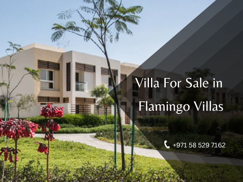 Flamingo Villas At Mina Al Arab, Ras al-Khaimah – RAK Properties