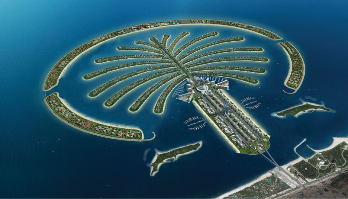 palm j