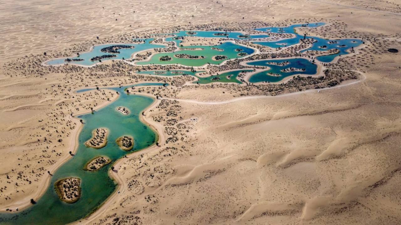 Al Qudra Desert