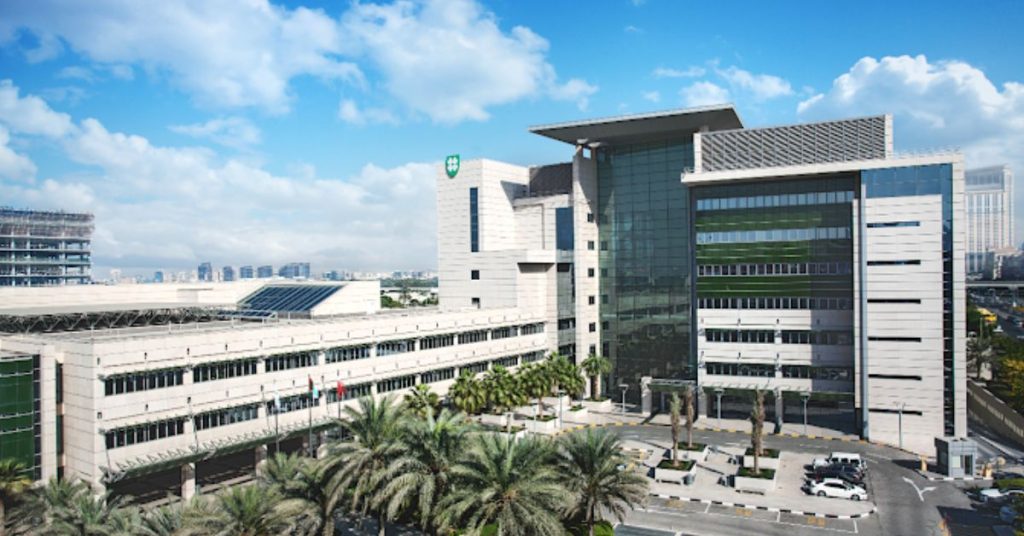 Amenities, Schools, and Healthcare in Oud Metha